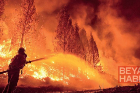 Sizde hiç mi vicdan yok!