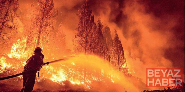 Sizde hiç mi vicdan yok!