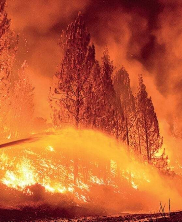 Sizde hiç mi vicdan yok!