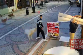 Sokak köpeğinin saldırısında yaralandı; o anlar kamerada