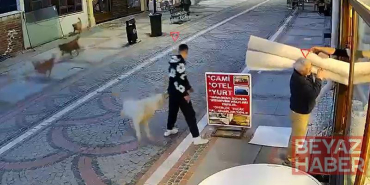 Sokak köpeğinin saldırısında yaralandı; o anlar kamerada