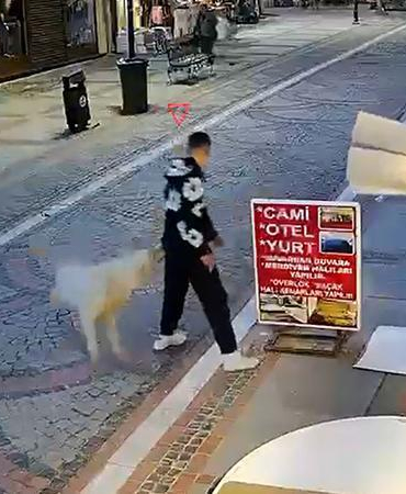 Sokak köpeğinin saldırısında yaralandı; o anlar kamerada