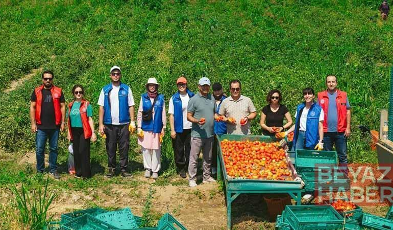 Gönüllü Hasat Etkinliği 2026 takvimi açıklandı