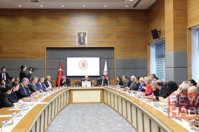 İçişleri Bakanlığı Müşaviri Karaca: Sahipsiz sokak hayvanlarının yüzde 78