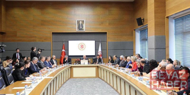 İçişleri Bakanlığı Müşaviri Karaca: Sahipsiz sokak hayvanlarının yüzde 78