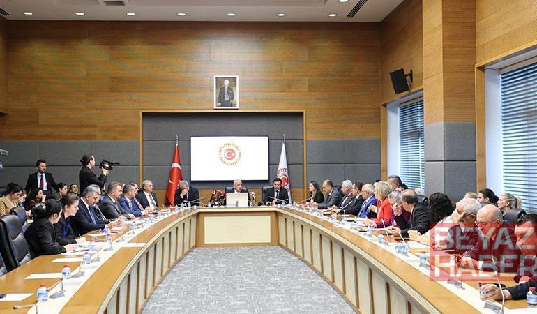 İçişleri Bakanlığı Müşaviri Karaca: Sahipsiz sokak hayvanlarının yüzde 78