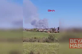 Beykoz'da ormanlık alanda çıkan yangın söndürüldü