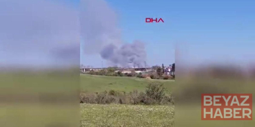 Beykoz'da ormanlık alanda çıkan yangın söndürüldü