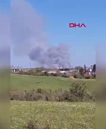 Beykoz'da ormanlık alanda çıkan yangın söndürüldü