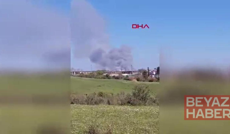 Beykoz'da ormanlık alanda çıkan yangın söndürüldü