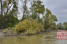 Nehre düşen 10 yaşındaki Ahmet