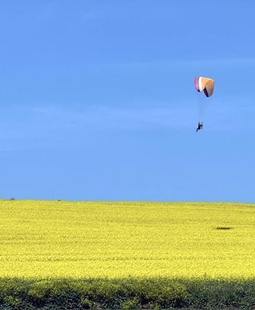 Sarı renge bürünen kanola tarlası üzerinde paramotorla uçtu