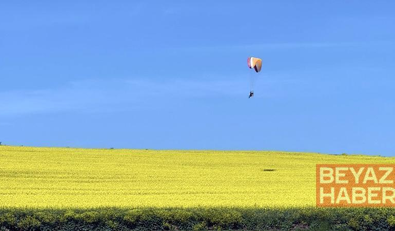 Sarı renge bürünen kanola tarlası üzerinde paramotorla uçtu