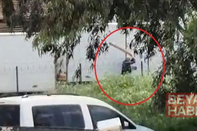 Tavuklarını yediği gerekçesiyle sokak köpeğini sopayla döven kişi gözaltında