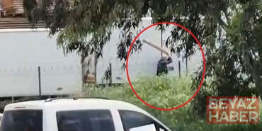 Tavuklarını yediği gerekçesiyle sokak köpeğini sopayla döven kişi gözaltında