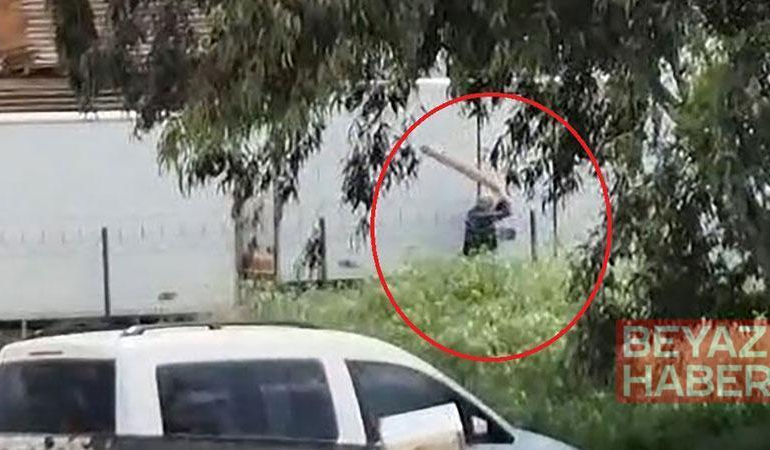 Tavuklarını yediği gerekçesiyle sokak köpeğini sopayla döven kişi gözaltında