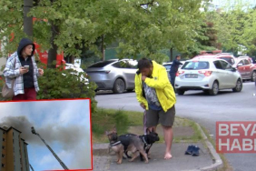 Ataşehir’de 8 katlı binanın en üst katında yangın; engelli köpek içerde mahsur kaldı