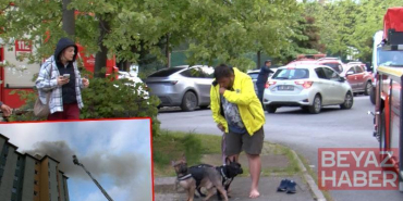 Ataşehir’de 8 katlı binanın en üst katında yangın; engelli köpek içerde mahsur kaldı