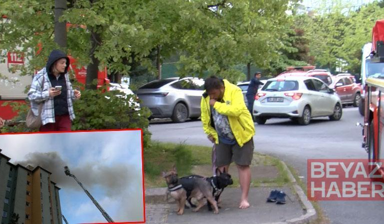 Ataşehir’de 8 katlı binanın en üst katında yangın; engelli köpek içerde mahsur kaldı