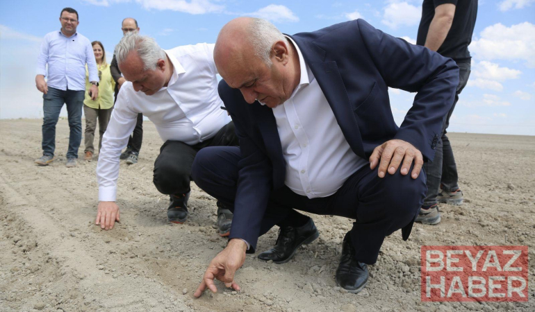 Erkoyuncu, pancar ekimine katıldı