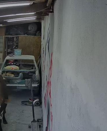 Ahırdan kaçan büyükbaşlar oto tamirciye girdi