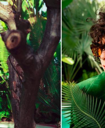 Dünyaca ünlü şarkıcı LP Türkiye