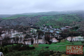 Sağanak nedeniyle Kızılırmak taştı; ev ve ahırları su bastı
