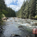 Manisa'da Altın İddiası: Vatandaşlar Derelere Akın Etti