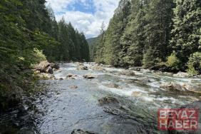 Manisa'da Altın İddiası: Vatandaşlar Derelere Akın Etti