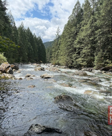 Manisa'da Altın İddiası: Vatandaşlar Derelere Akın Etti
