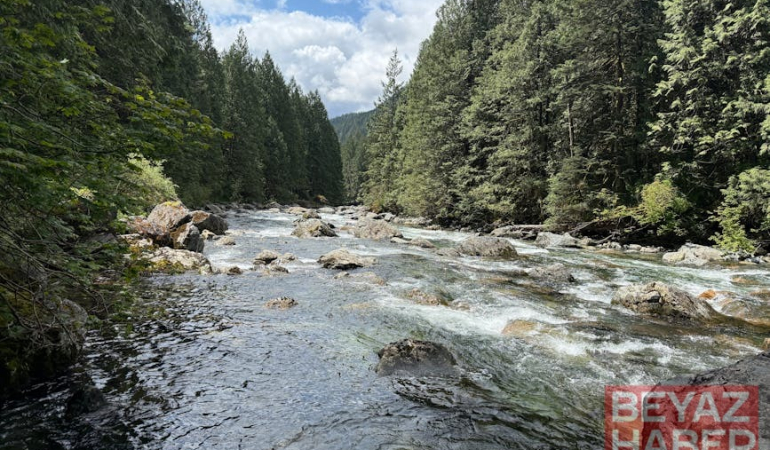 Manisa'da Altın İddiası: Vatandaşlar Derelere Akın Etti
