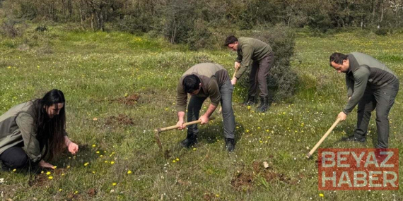 Bir torba topladılar, 699 bin TL ceza yediler