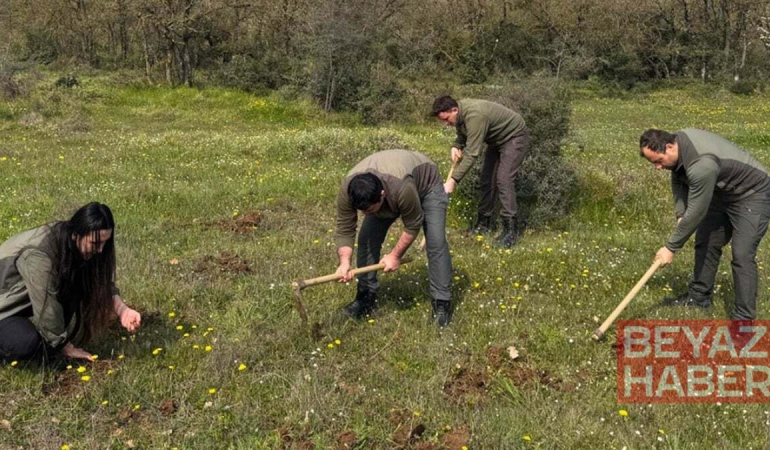 Bir torba topladılar, 699 bin TL ceza yediler