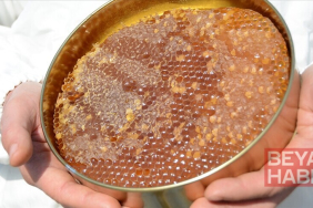 Uygunsuz balın piyasaya girişi "temel petek" düzenlemesiyle engellenecek