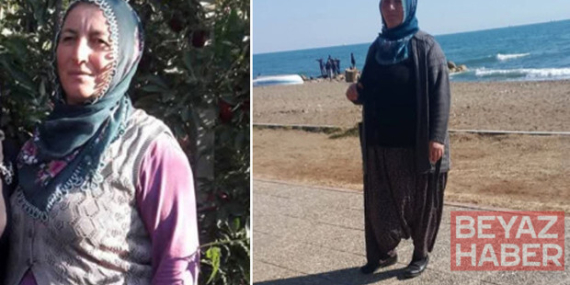 Aksaray'da feci ölüm! İş yerinde kesilen ağaç, üzerine devrildi