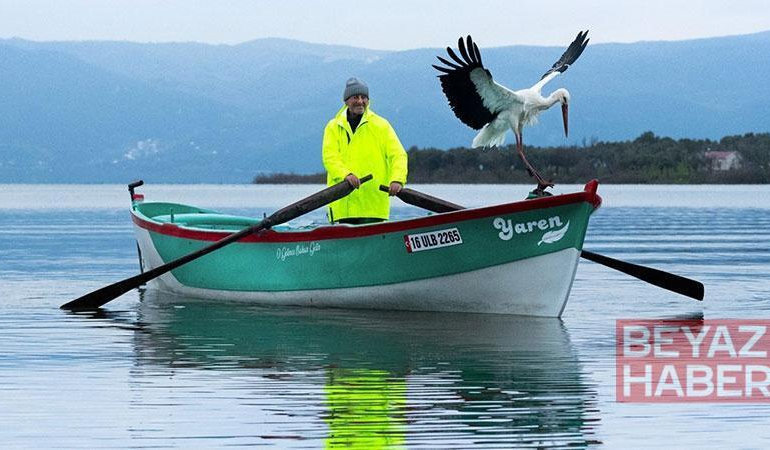 Göçten 15