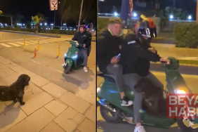 Sokak köpeği motosiklete binmek istedi; o anlar kamerada