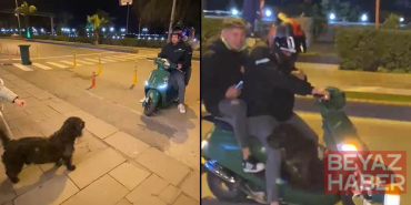 Sokak köpeği motosiklete binmek istedi; o anlar kamerada