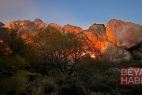 ABD’nin Arizona eyaletinde yangın; 2 bin 200 dönüm alan küle döndü