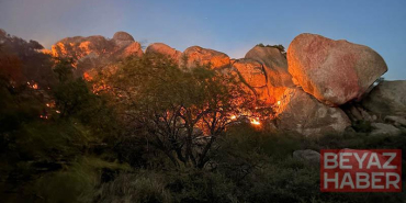 ABD’nin Arizona eyaletinde yangın; 2 bin 200 dönüm alan küle döndü