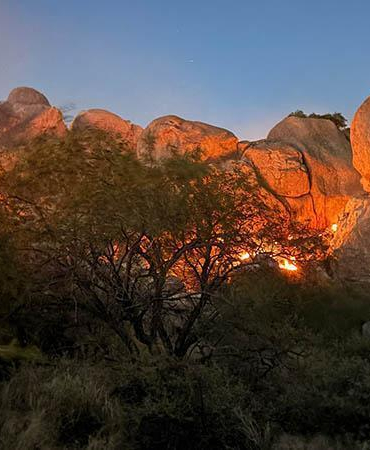ABD’nin Arizona eyaletinde yangın; 2 bin 200 dönüm alan küle döndü