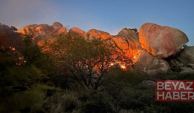 ABD’nin Arizona eyaletinde yangın; 2 bin 200 dönüm alan küle döndü