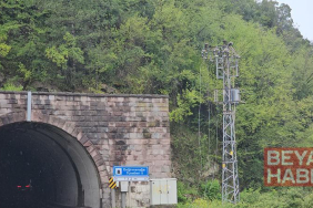 Heyelan nedeniyle kopan kaya ve dal parçaları elektrik hattını kopardı