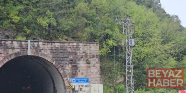 Heyelan nedeniyle kopan kaya ve dal parçaları elektrik hattını kopardı