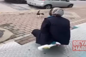 Kedinin yüzüne sprey sıkan market çalışanı gözaltına alındı
