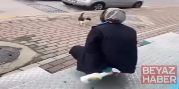 Kedinin yüzüne sprey sıkan market çalışanı gözaltına alındı