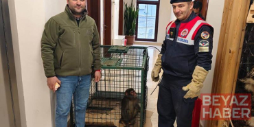 Köy yolunda bulunan