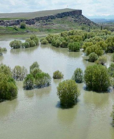 Melendiz Çayı taştı, mesire alanındaki ağaçlar su içinde kaldı