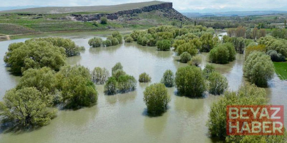 Melendiz Çayı taştı, mesire alanındaki ağaçlar su içinde kaldı