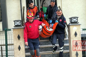 Avcılar